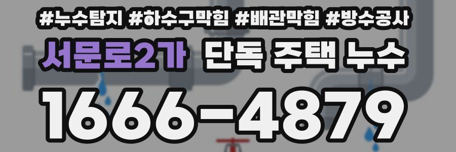서문로2가 단독 주택 누수