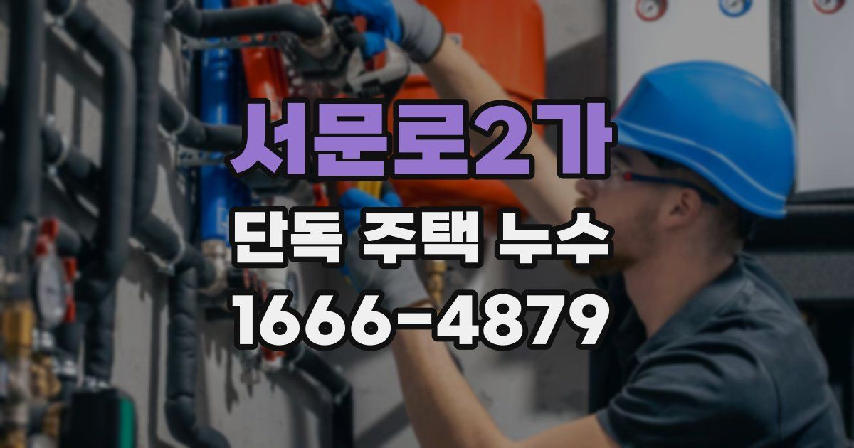 서문로2가 단독 주택 누수