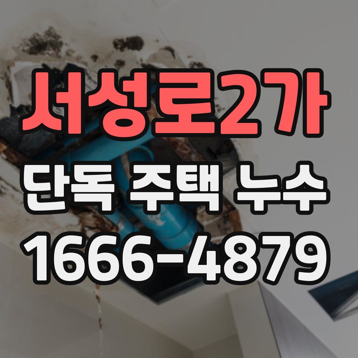 서성로2가 단독 주택 누수