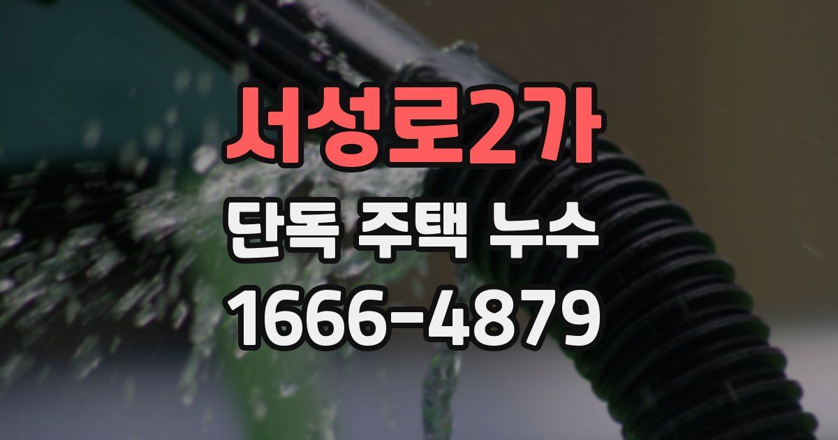 서성로2가 단독 주택 누수