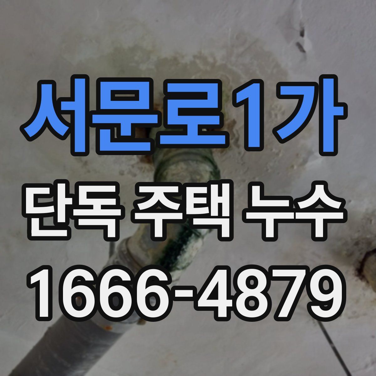 서문로1가 단독 주택 누수