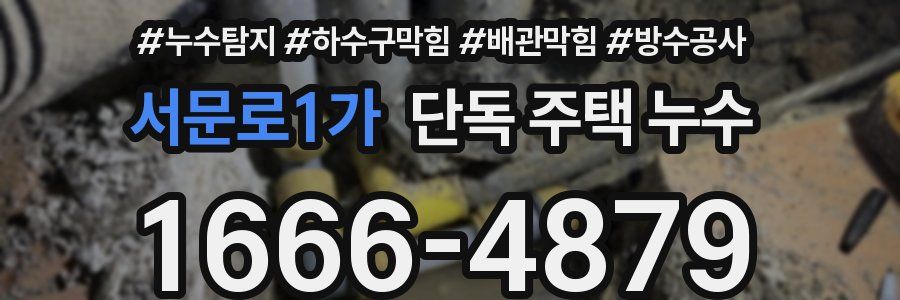 서문로1가 단독 주택 누수