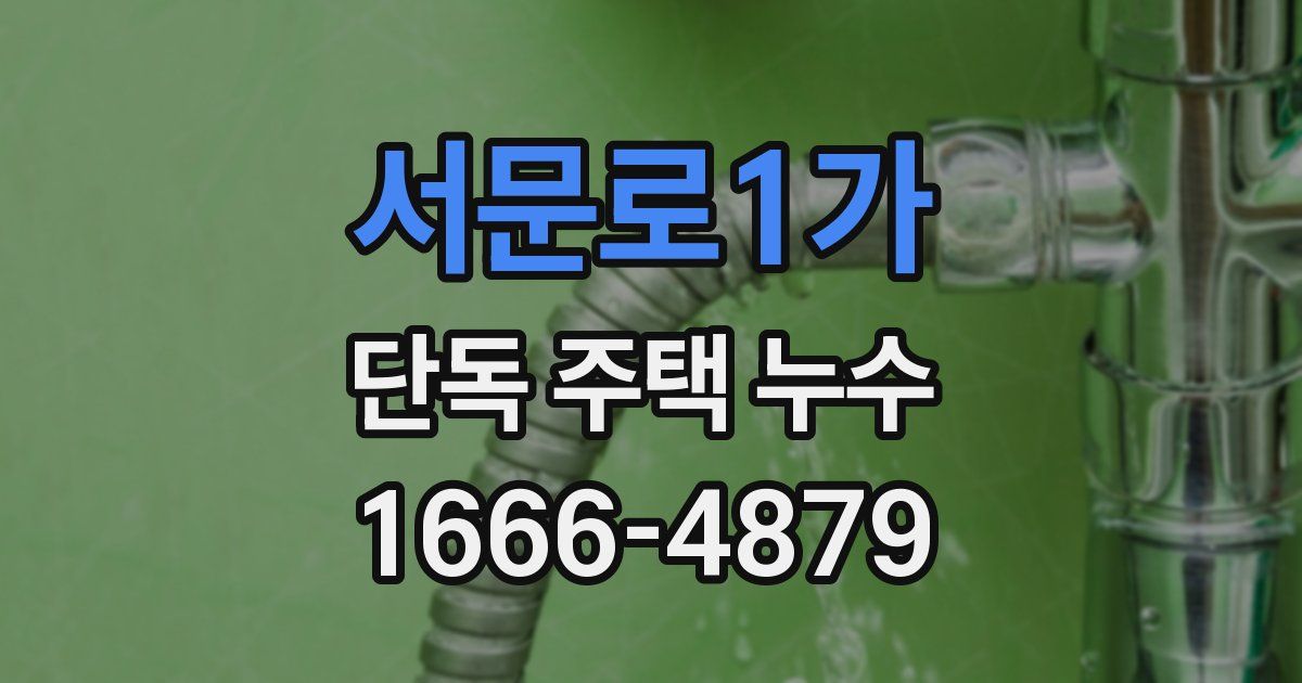 서문로1가 단독 주택 누수