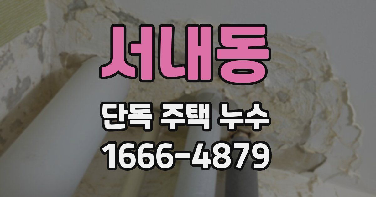 서내동 단독 주택 누수