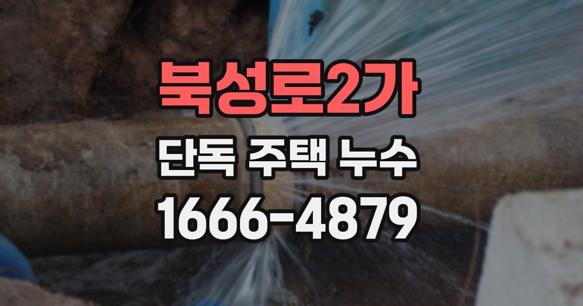 북성로2가 단독 주택 누수