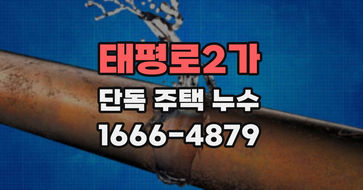태평로2가 단독 주택 누수