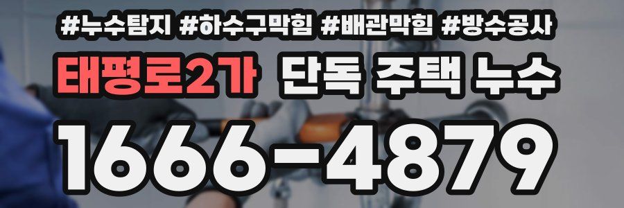 태평로2가 단독 주택 누수