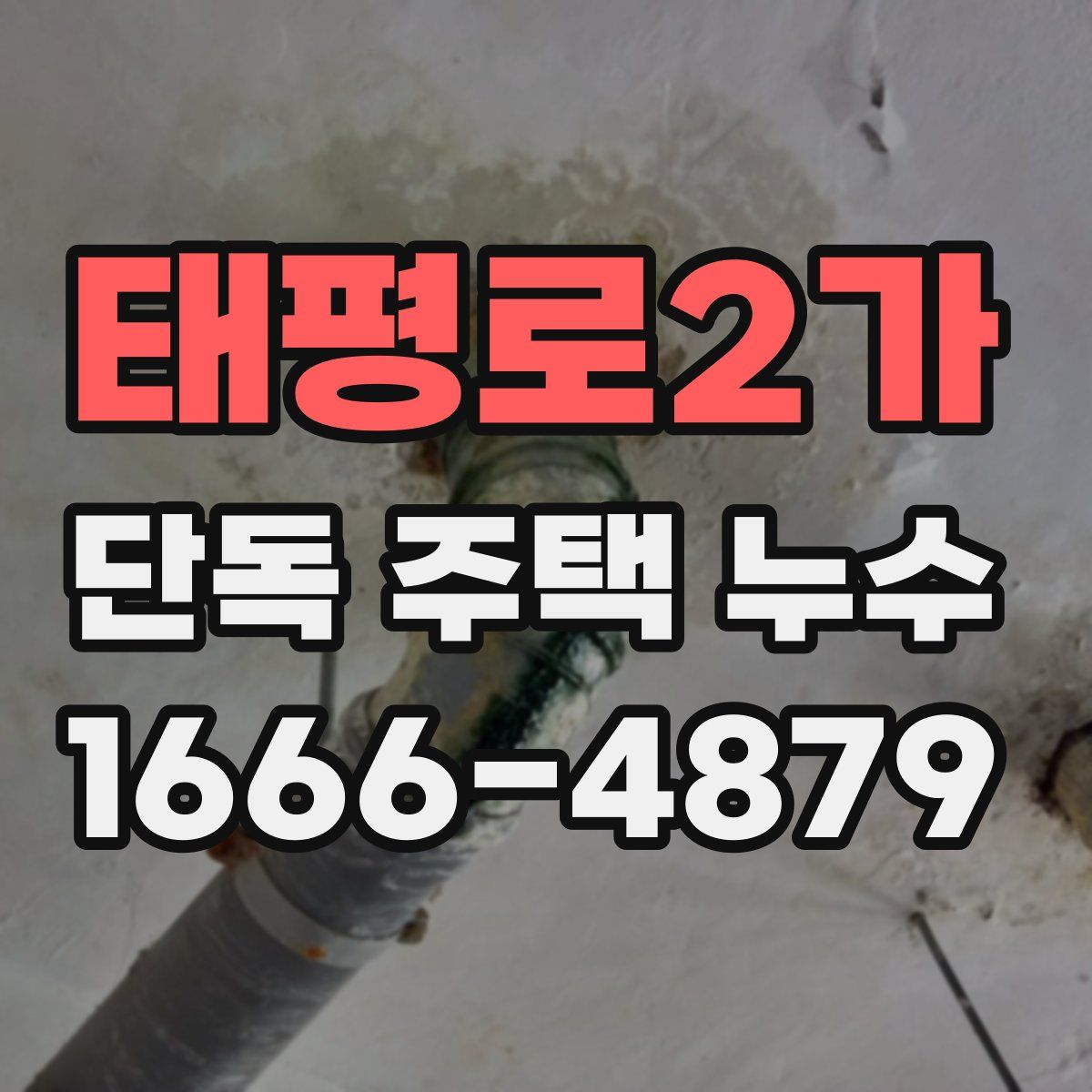 태평로2가 단독 주택 누수