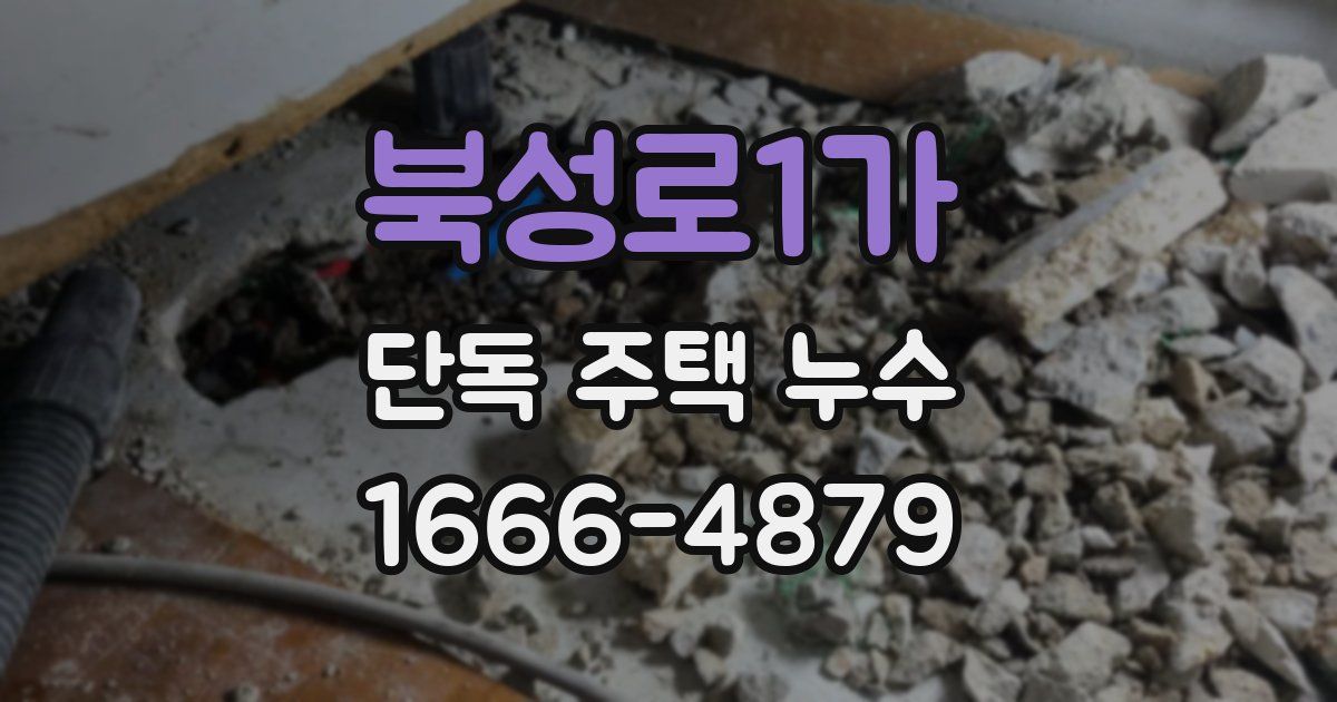 북성로1가 단독 주택 누수
