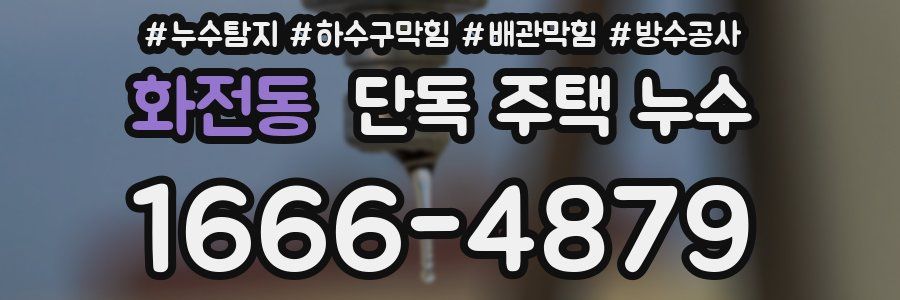 화전동 단독 주택 누수
