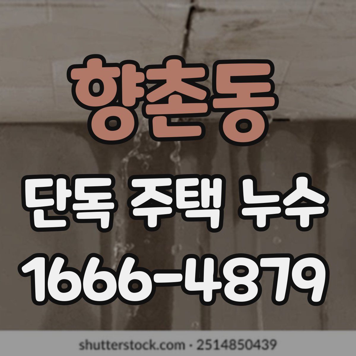 향촌동 단독 주택 누수