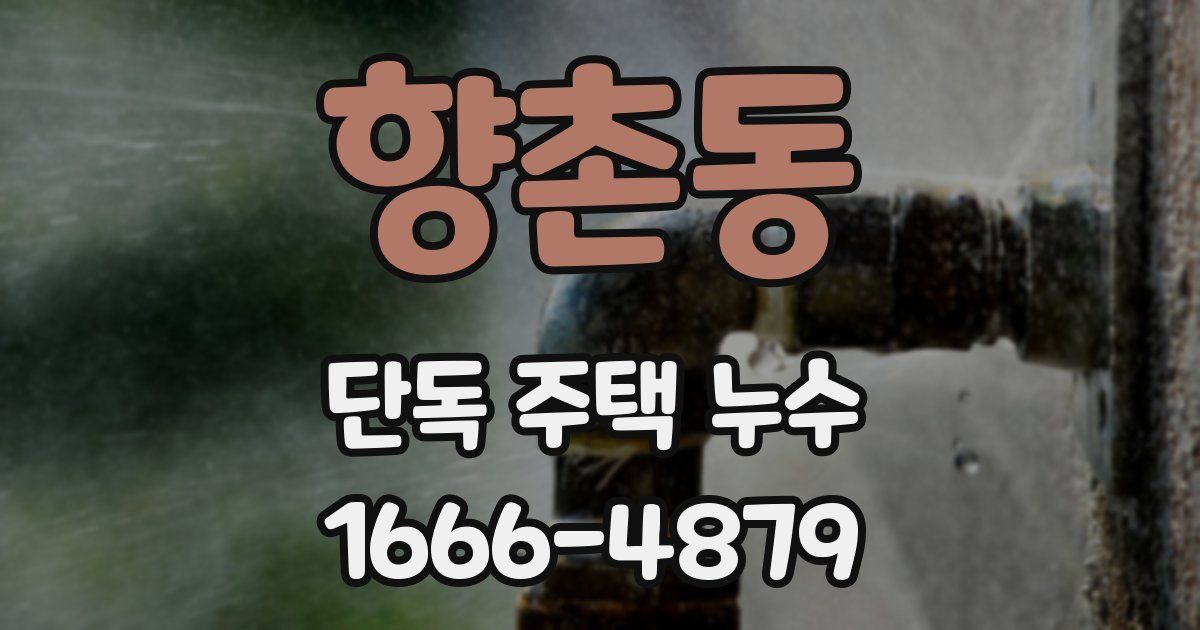 향촌동 단독 주택 누수