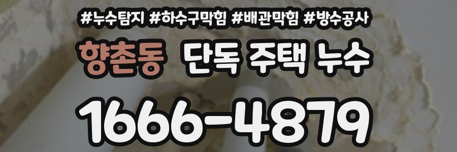 향촌동 단독 주택 누수