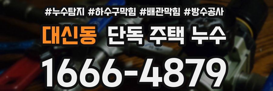 대신동 단독 주택 누수