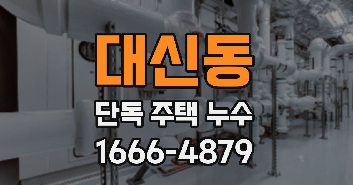대신동 단독 주택 누수