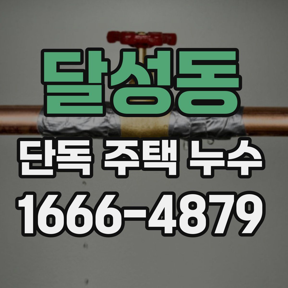 달성동 단독 주택 누수