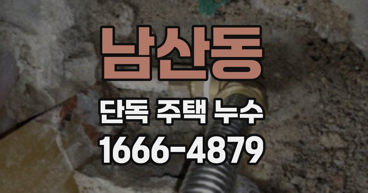 남산동 단독 주택 누수
