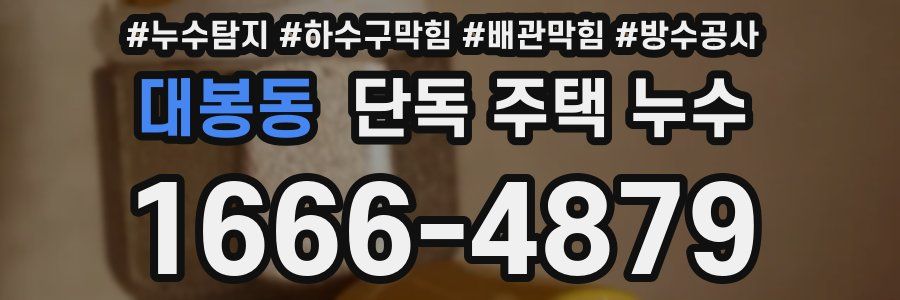 대봉동 단독 주택 누수