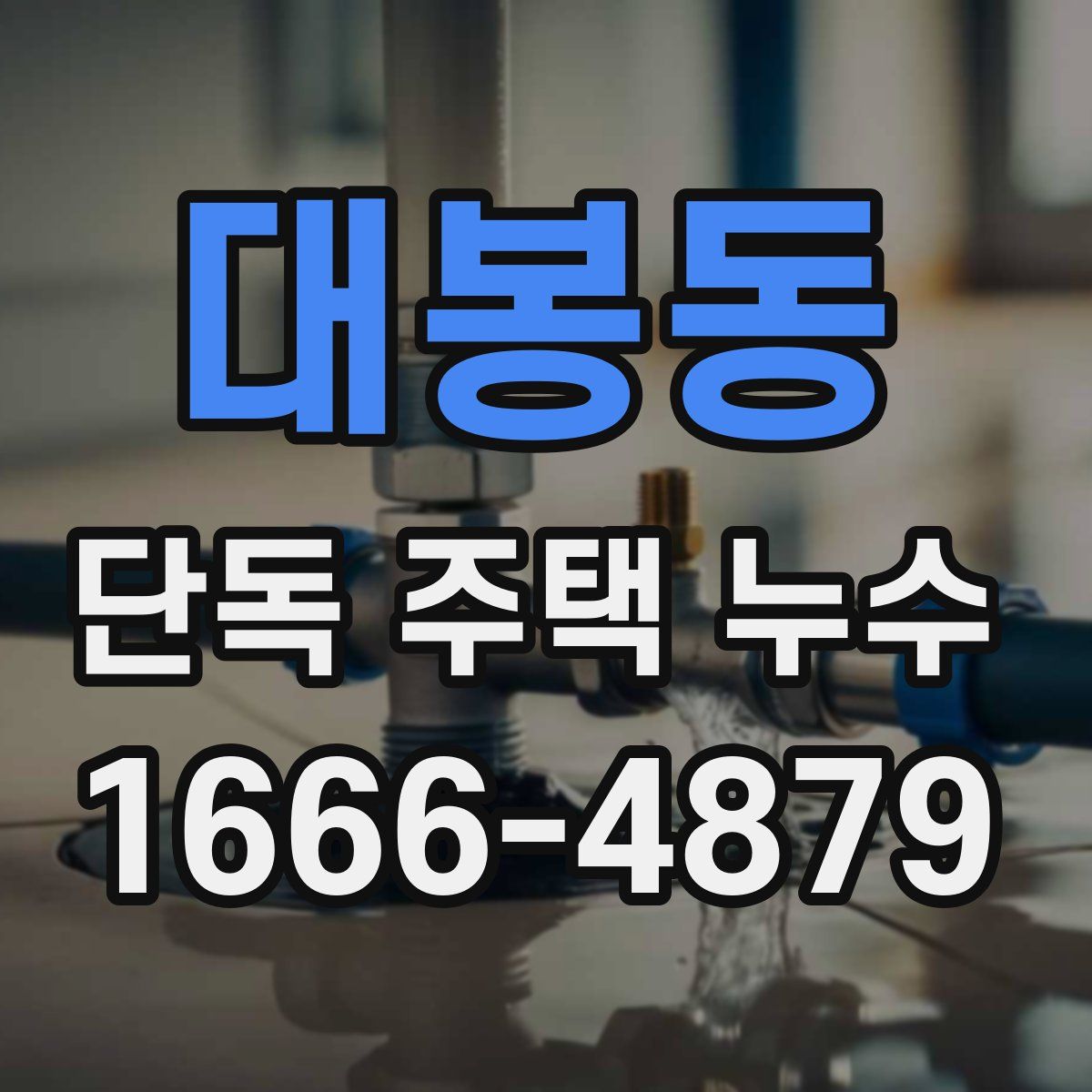 대봉동 단독 주택 누수