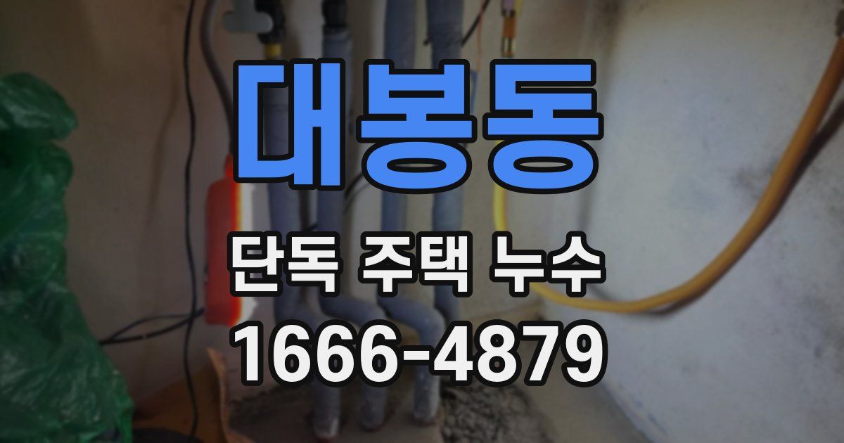 대봉동 단독 주택 누수