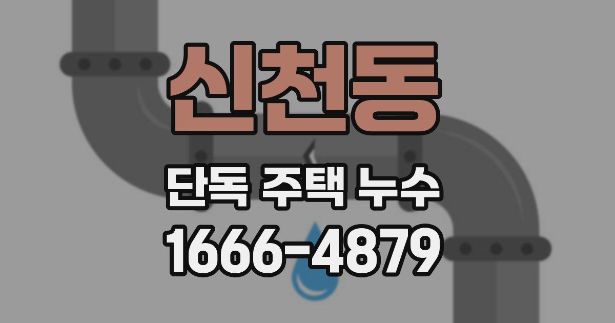 신천동 단독 주택 누수