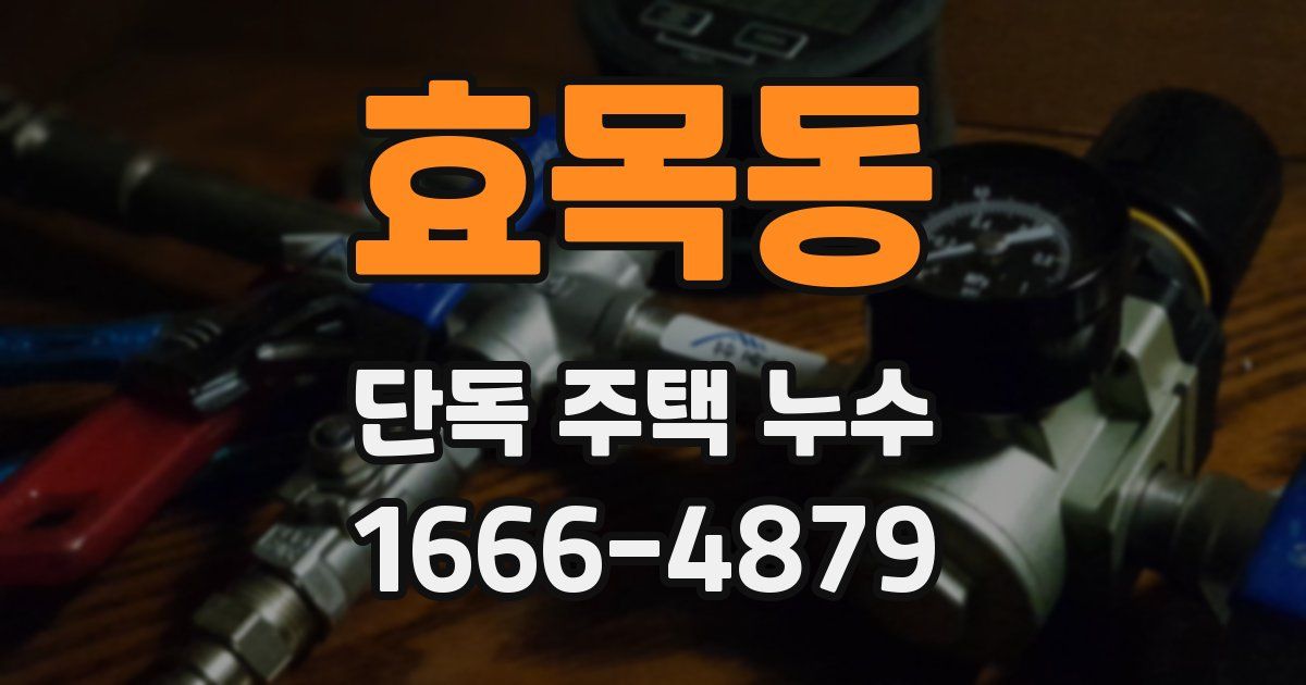 효목동 단독 주택 누수