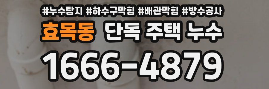 효목동 단독 주택 누수
