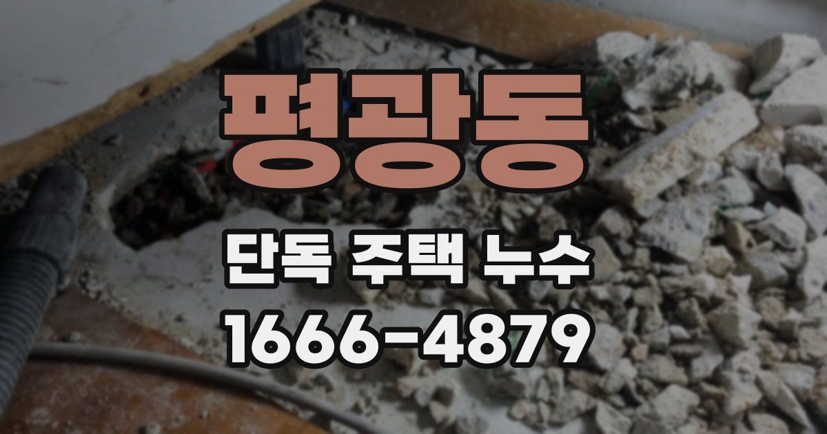 평광동 단독 주택 누수