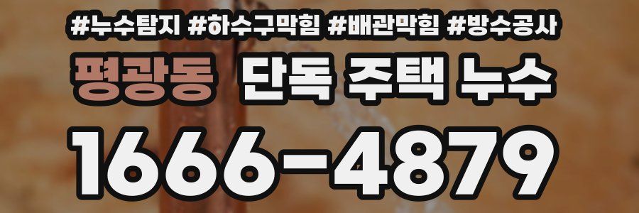 평광동 단독 주택 누수