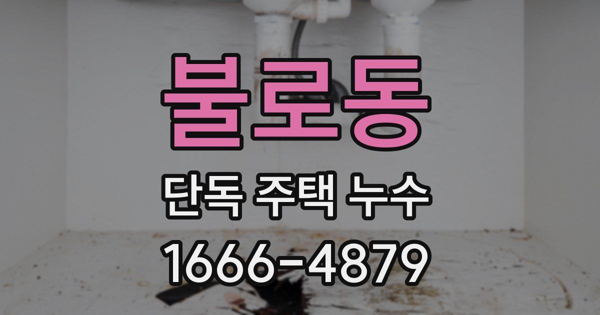 불로동 단독 주택 누수