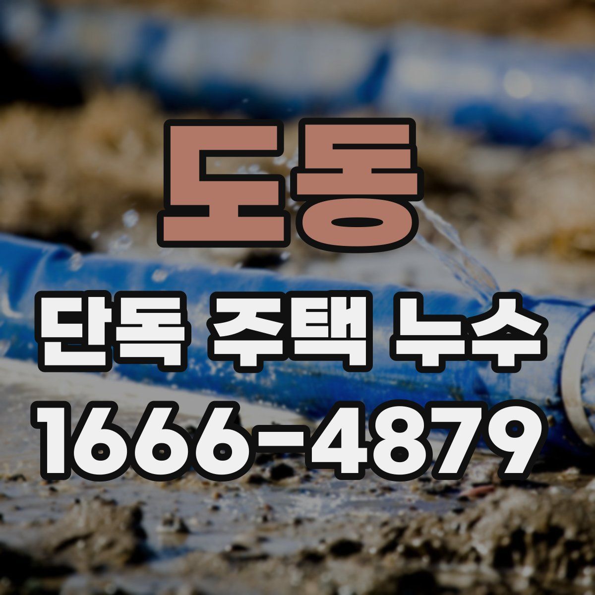 도동 단독 주택 누수