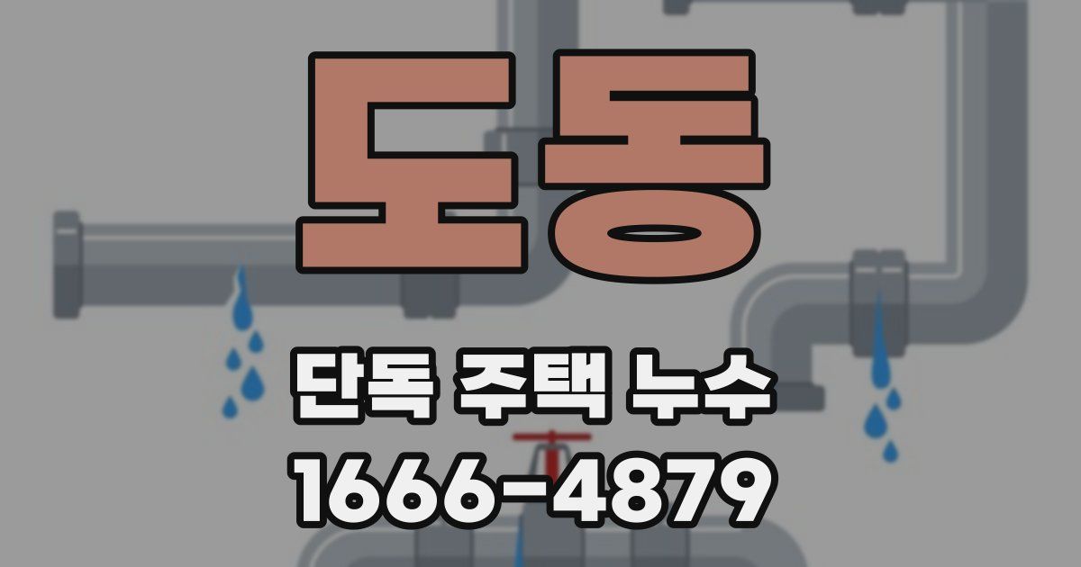 도동 단독 주택 누수