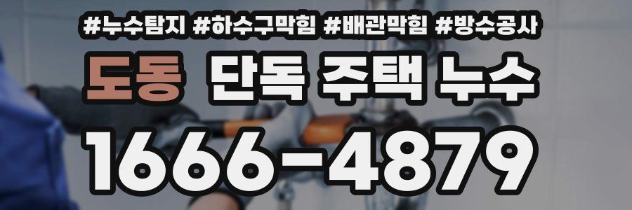 도동 단독 주택 누수