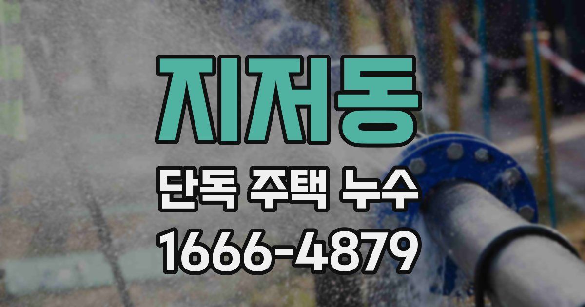 지저동 단독 주택 누수