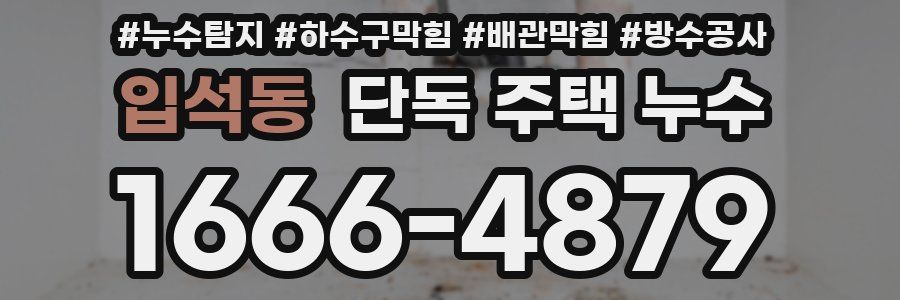 입석동 단독 주택 누수