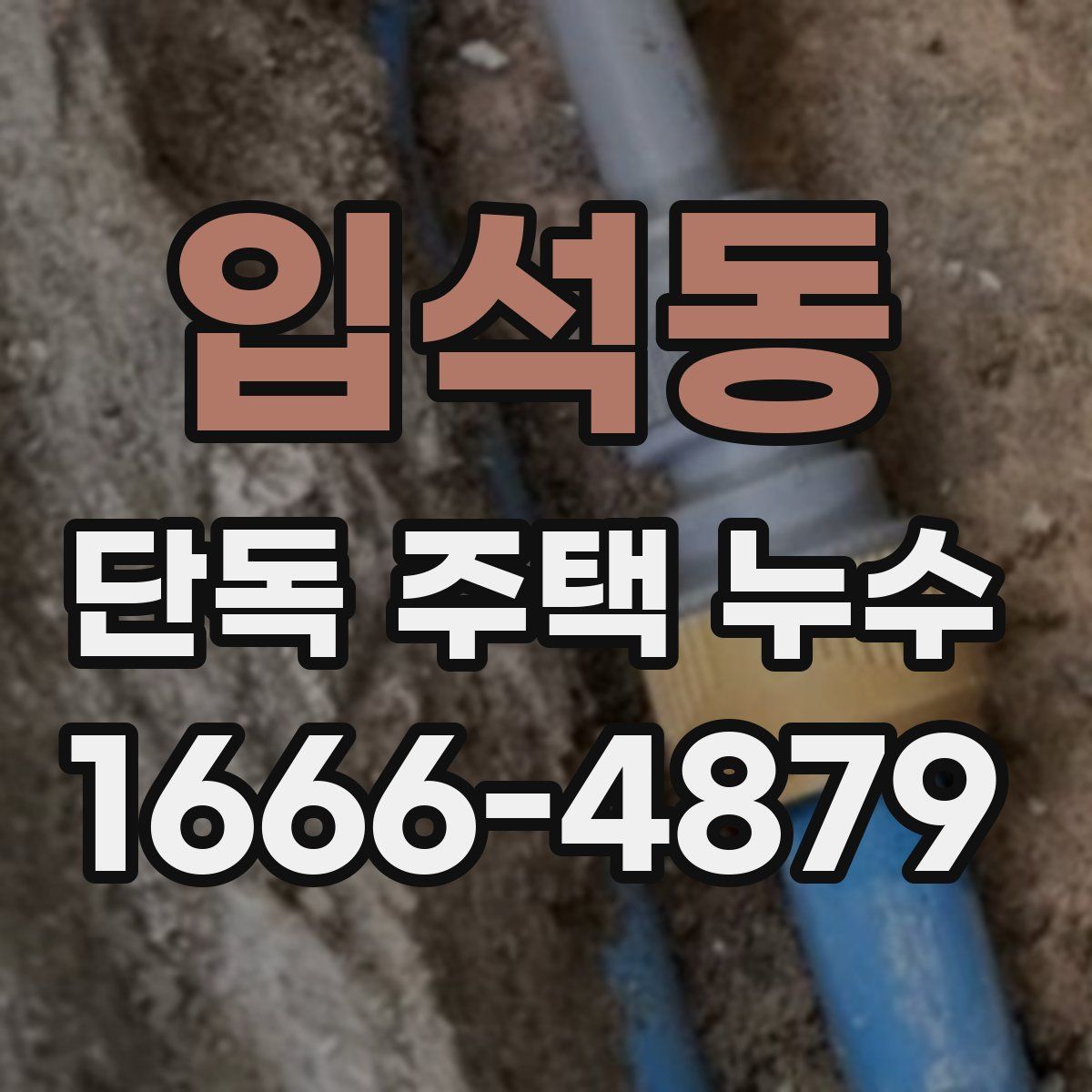 입석동 단독 주택 누수