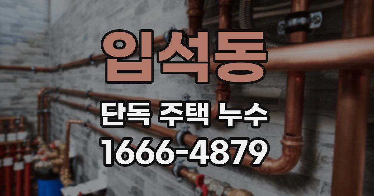 입석동 단독 주택 누수