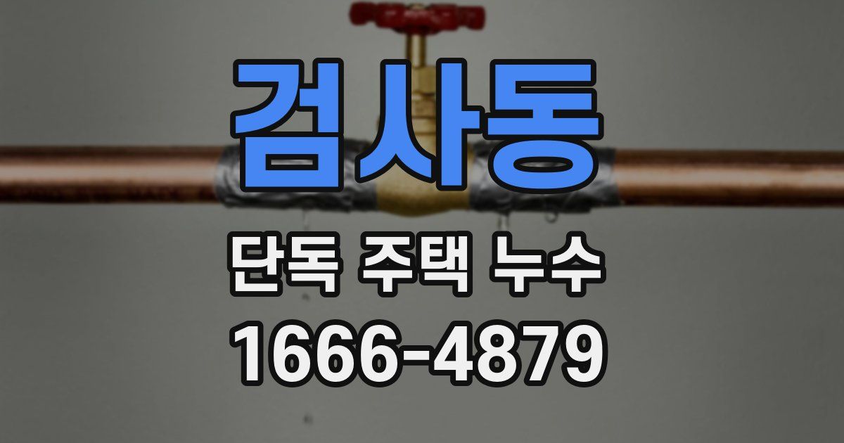 검사동 단독 주택 누수