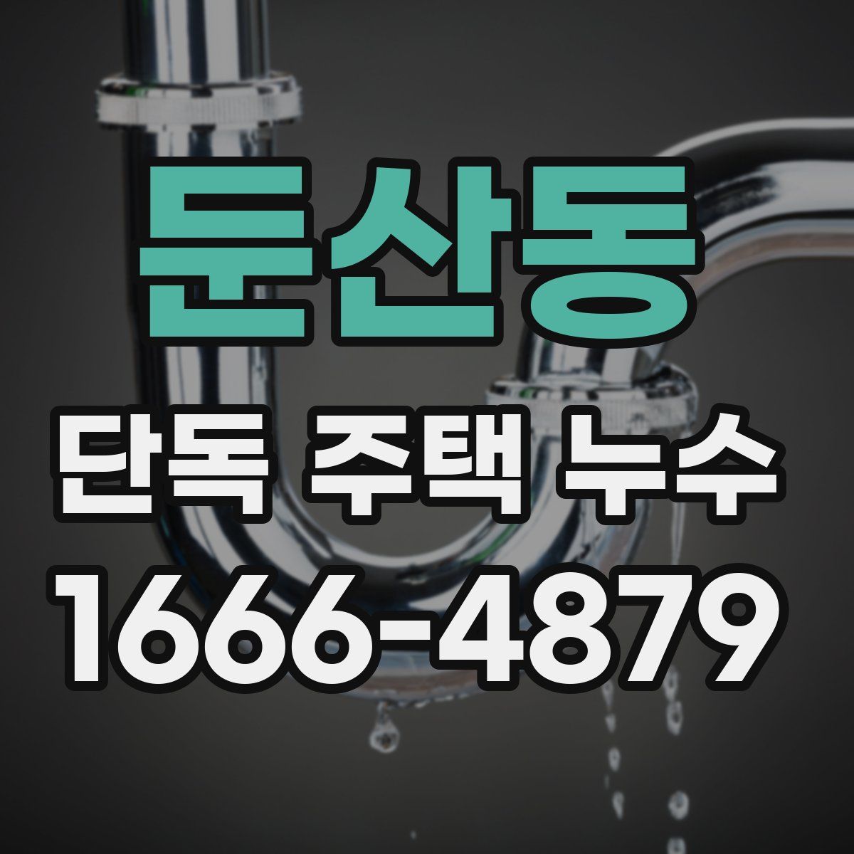 둔산동 단독 주택 누수
