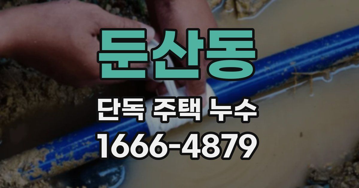 둔산동 단독 주택 누수