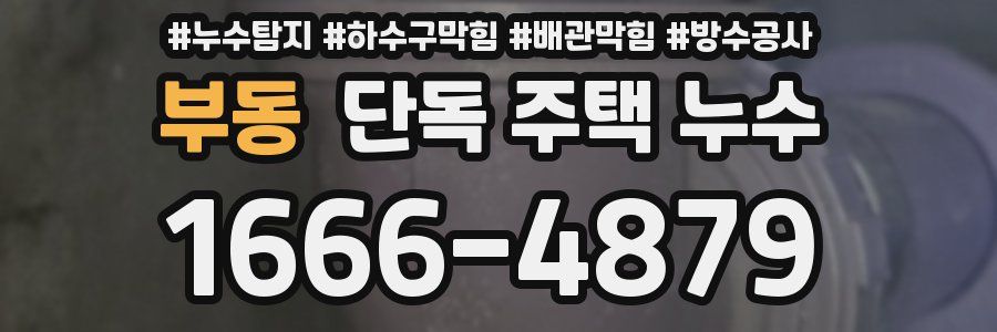 부동 단독 주택 누수