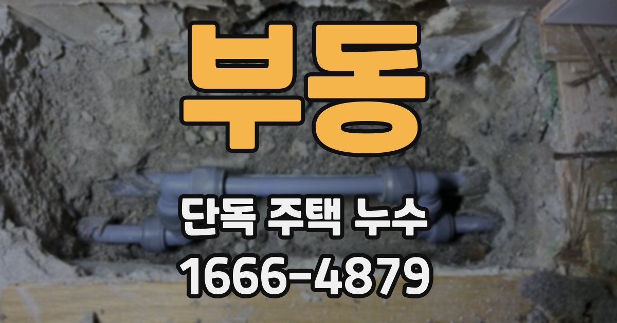 부동 단독 주택 누수