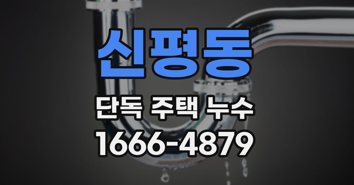 신평동 단독 주택 누수