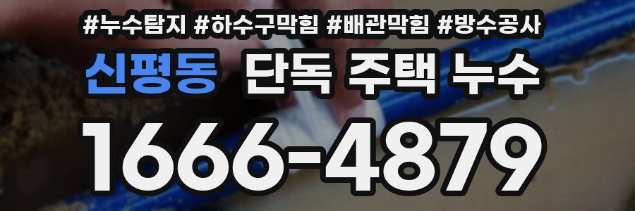신평동 단독 주택 누수