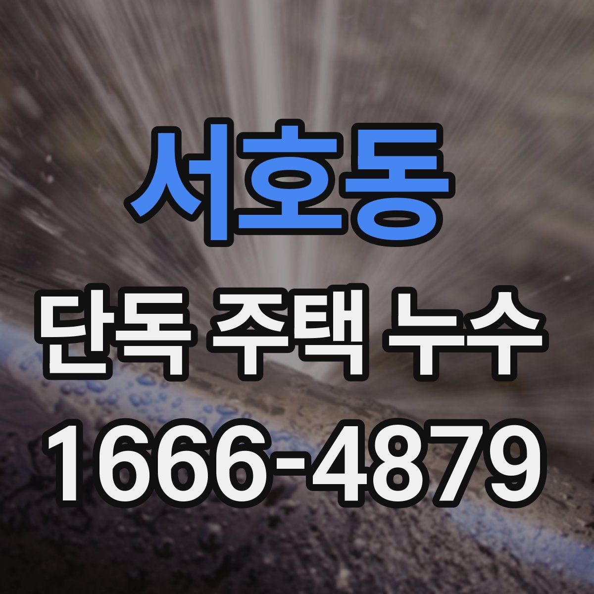 서호동 단독 주택 누수