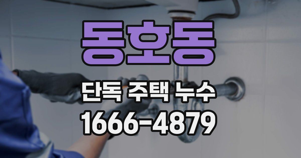 동호동 단독 주택 누수
