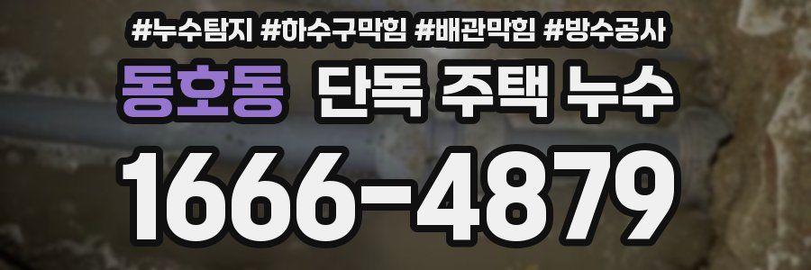 동호동 단독 주택 누수