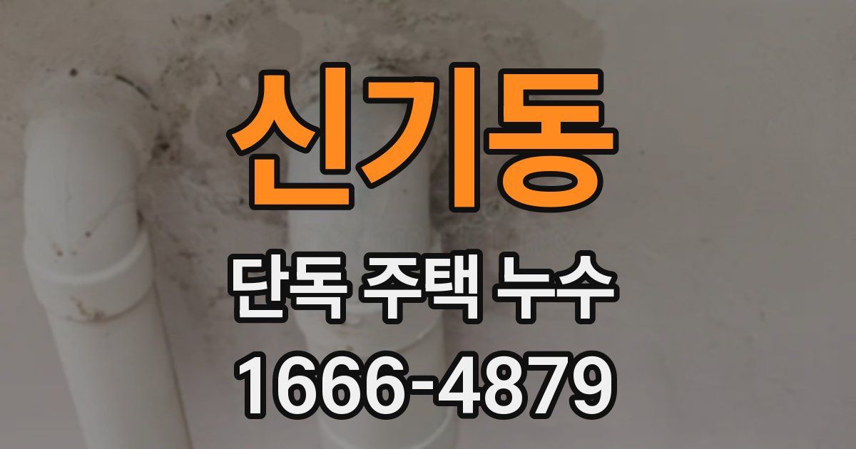신기동 단독 주택 누수
