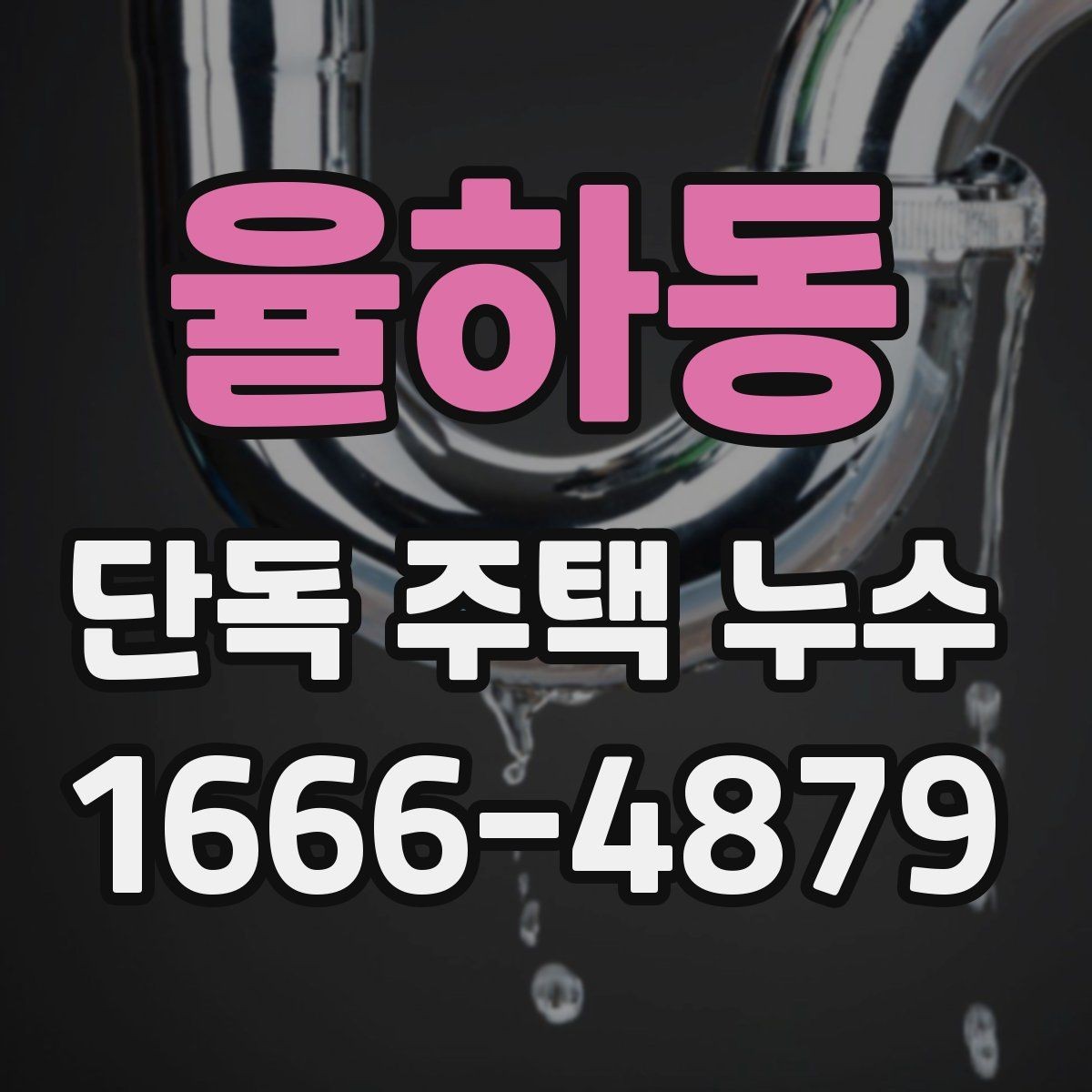 율하동 단독 주택 누수 의심될 때 먼저 확인할 곳