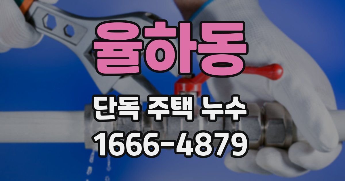 율하동 단독 주택 누수